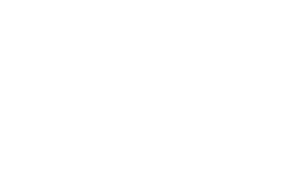 walidhasan.com-logo